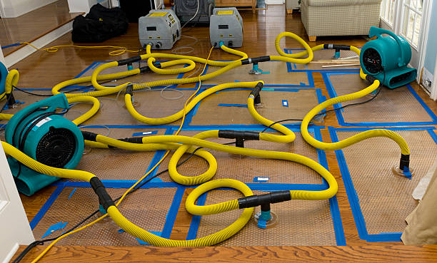 Professional Burst Pipe Water Damage technician working in Topanga, CA